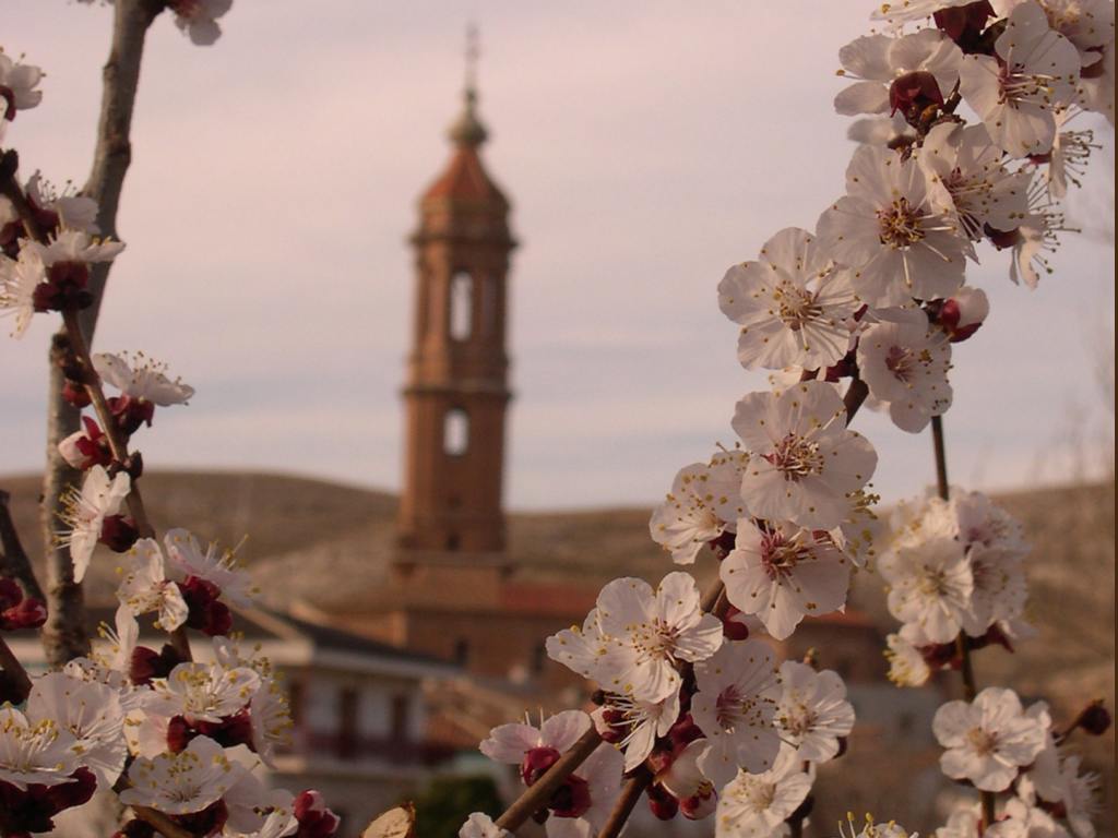 Almendro en flor y la torre de Blesa al fondo